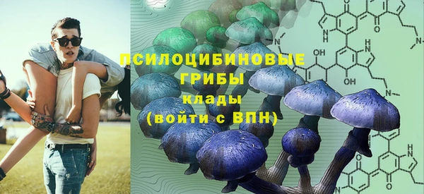 spice Балахна