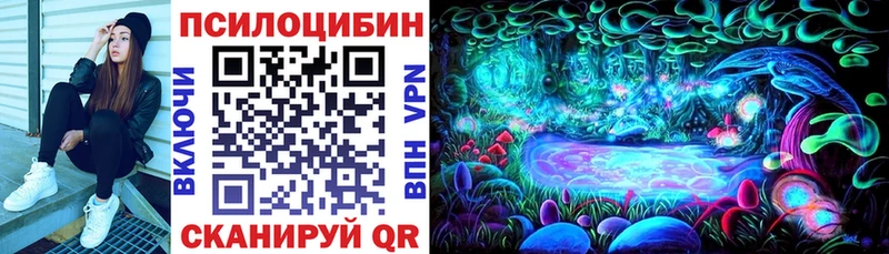 kraken сайт  Черемхово  Псилоцибиновые грибы GOLDEN TEACHER  сколько стоит 